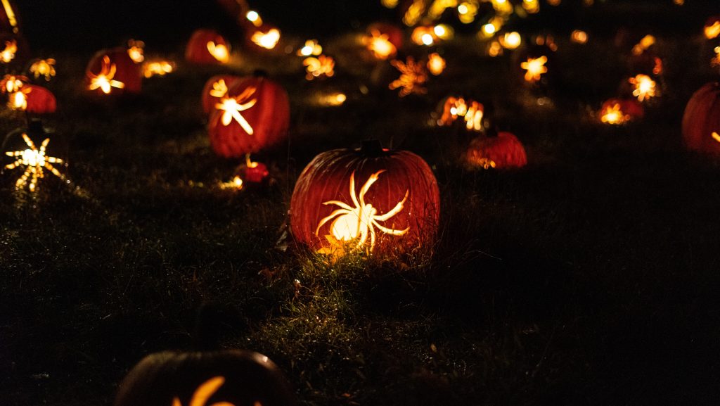 zucche-di-Halloween-paura-psicologica-1024x577 Halloween party: tra psicologia e terrore