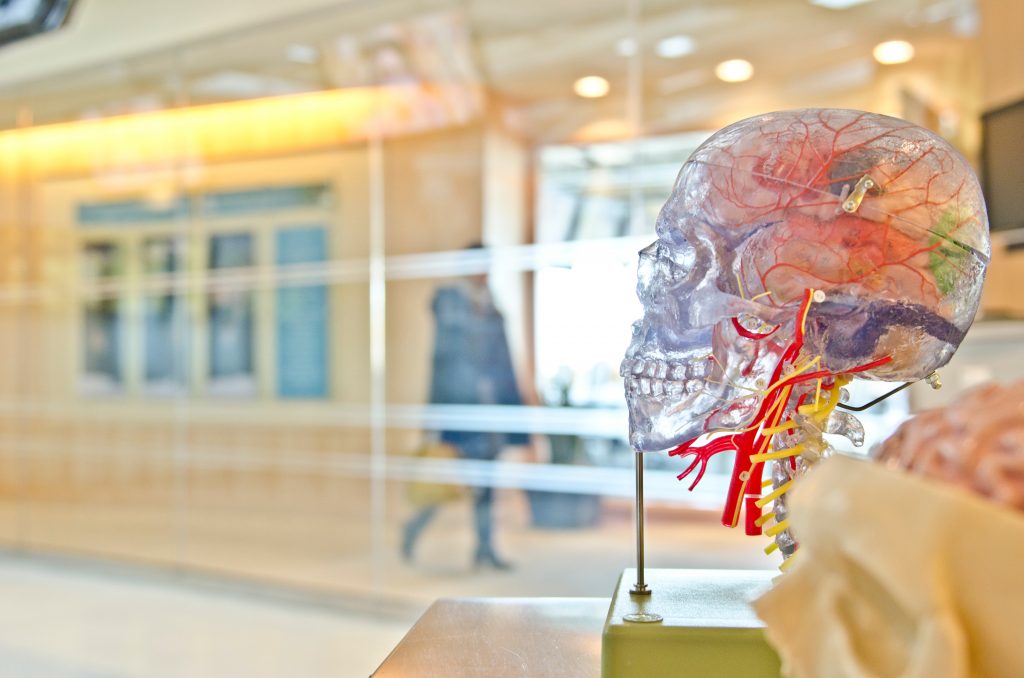 la-psicologia-è-una-scienza-1024x678 La psicologia è una scienza a tutti gli effetti